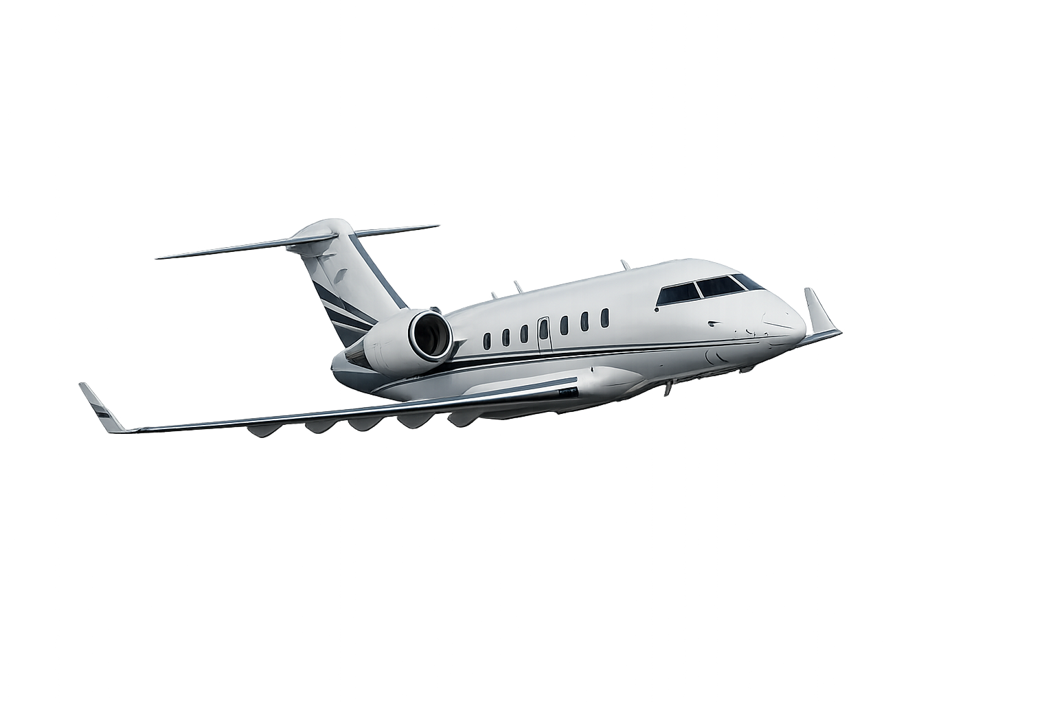 Private Jet Fly in